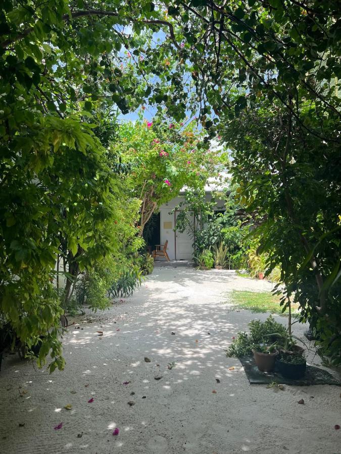Lagoon Villa Maldives ทอดดู ภายนอก รูปภาพ