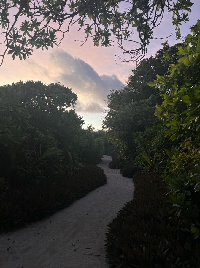 Lagoon Villa Maldives ทอดดู ภายนอก รูปภาพ