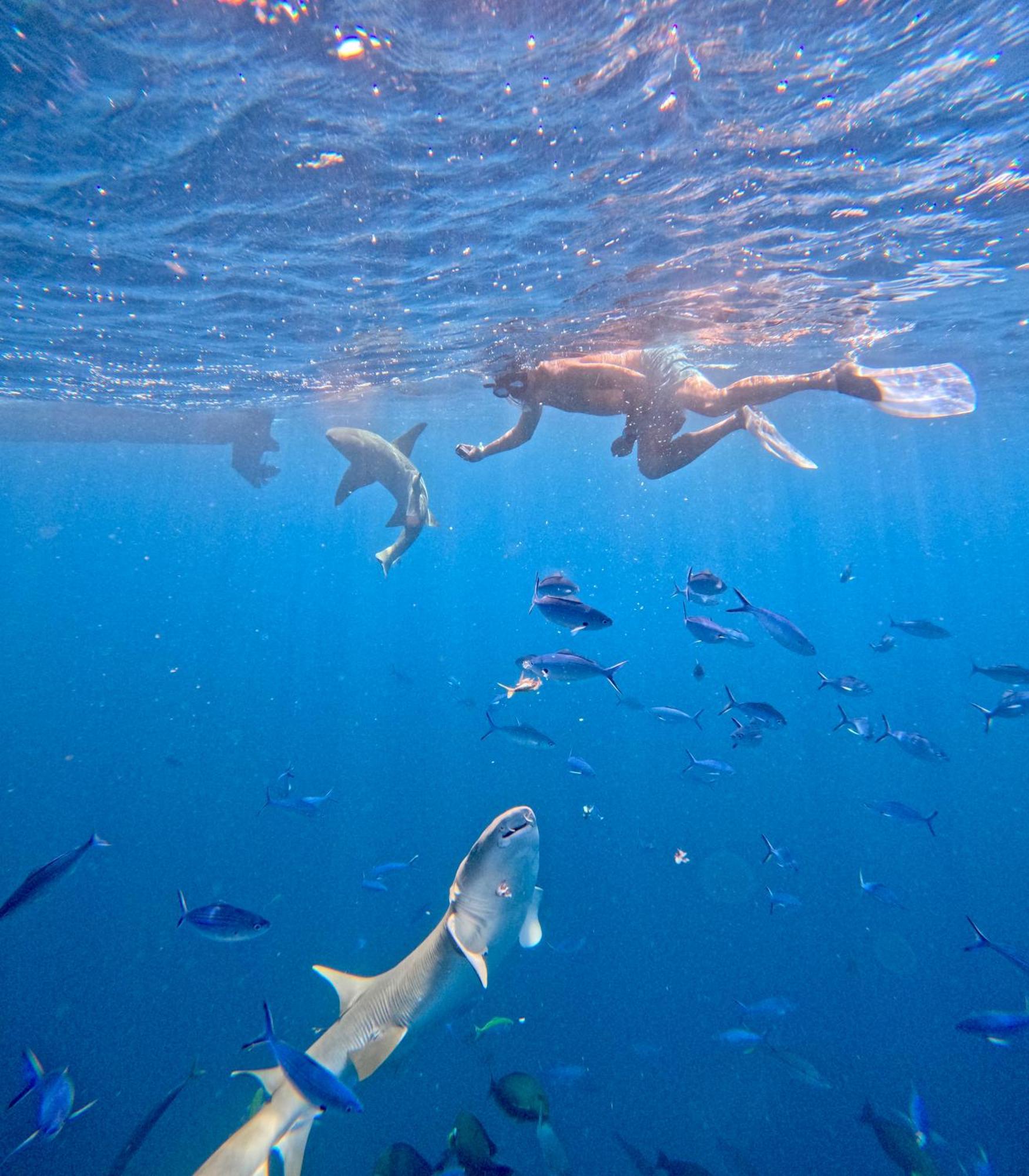 Lagoon Villa Maldives ทอดดู ภายนอก รูปภาพ