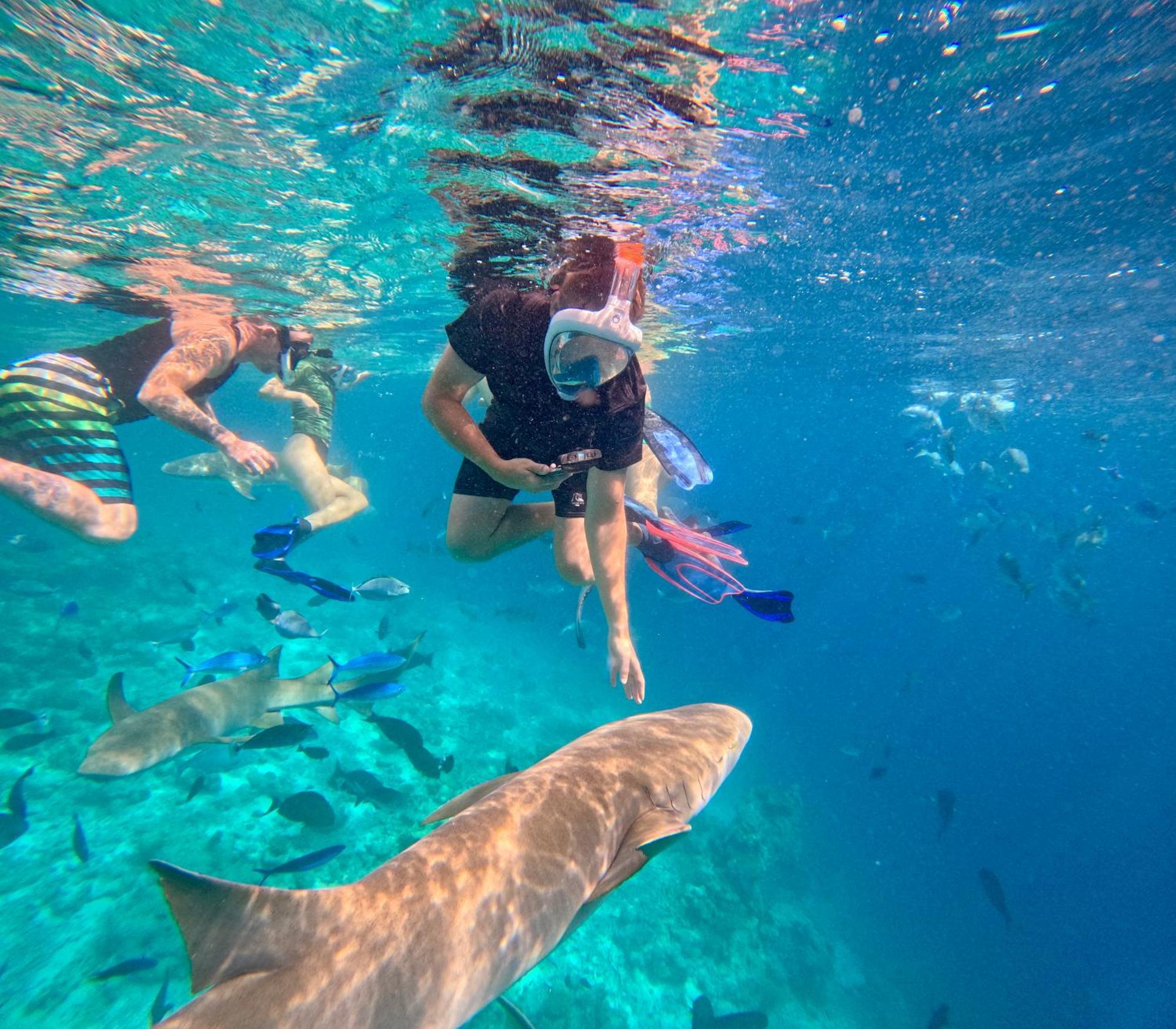 Lagoon Villa Maldives ทอดดู ภายนอก รูปภาพ
