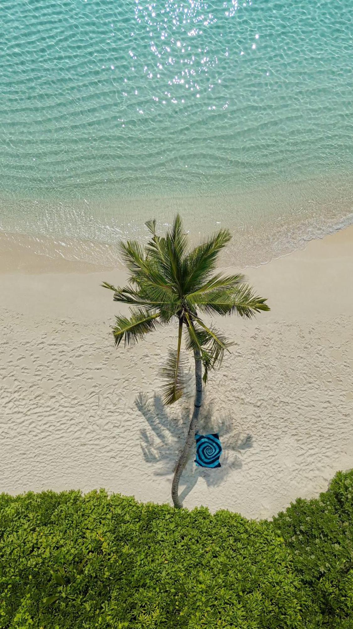 Lagoon Villa Maldives ทอดดู ภายนอก รูปภาพ