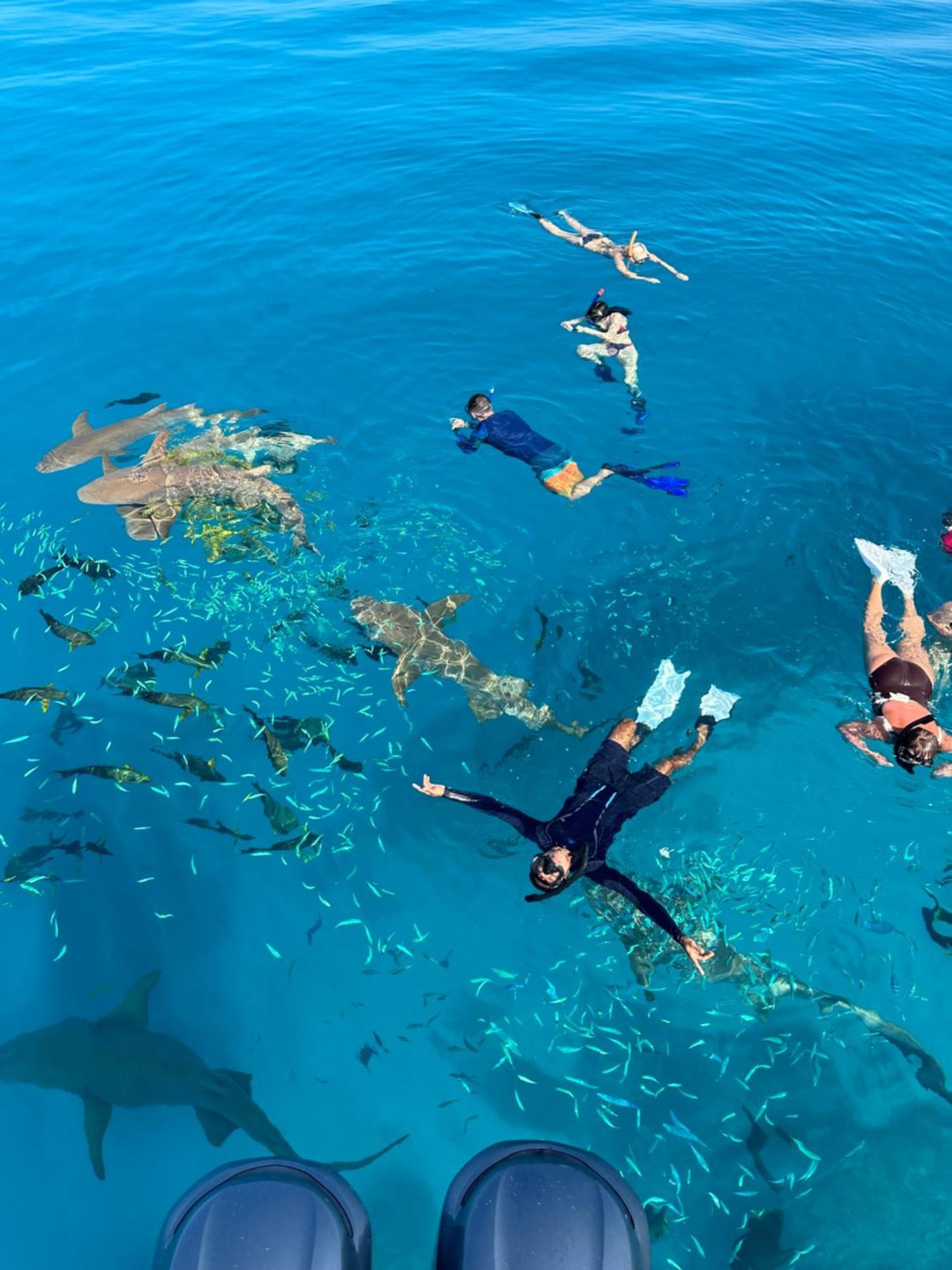 Lagoon Villa Maldives ทอดดู ภายนอก รูปภาพ