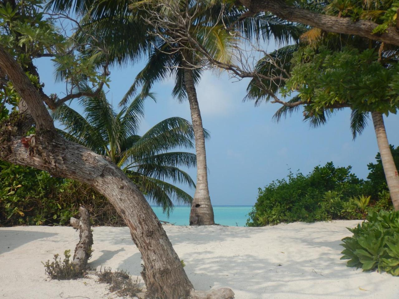 Lagoon Villa Maldives ทอดดู ภายนอก รูปภาพ